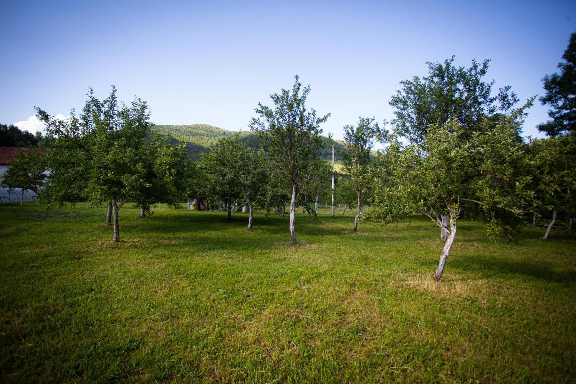 Ethno Village Stitarica * Mojkovac